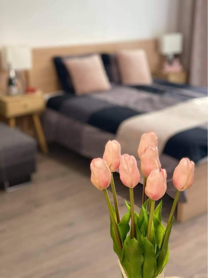 Lake And Spa Apartman Velence Zewnętrze zdjęcie
