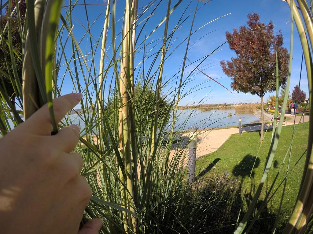Lake And Spa Apartman Velence Zewnętrze zdjęcie